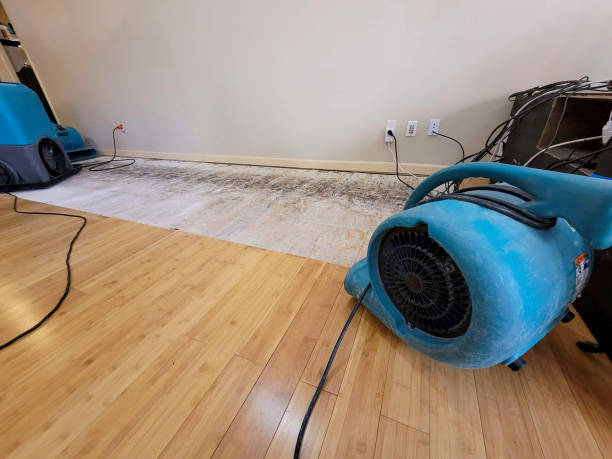 Professional Water Damage Repair technician working in Akron, OH